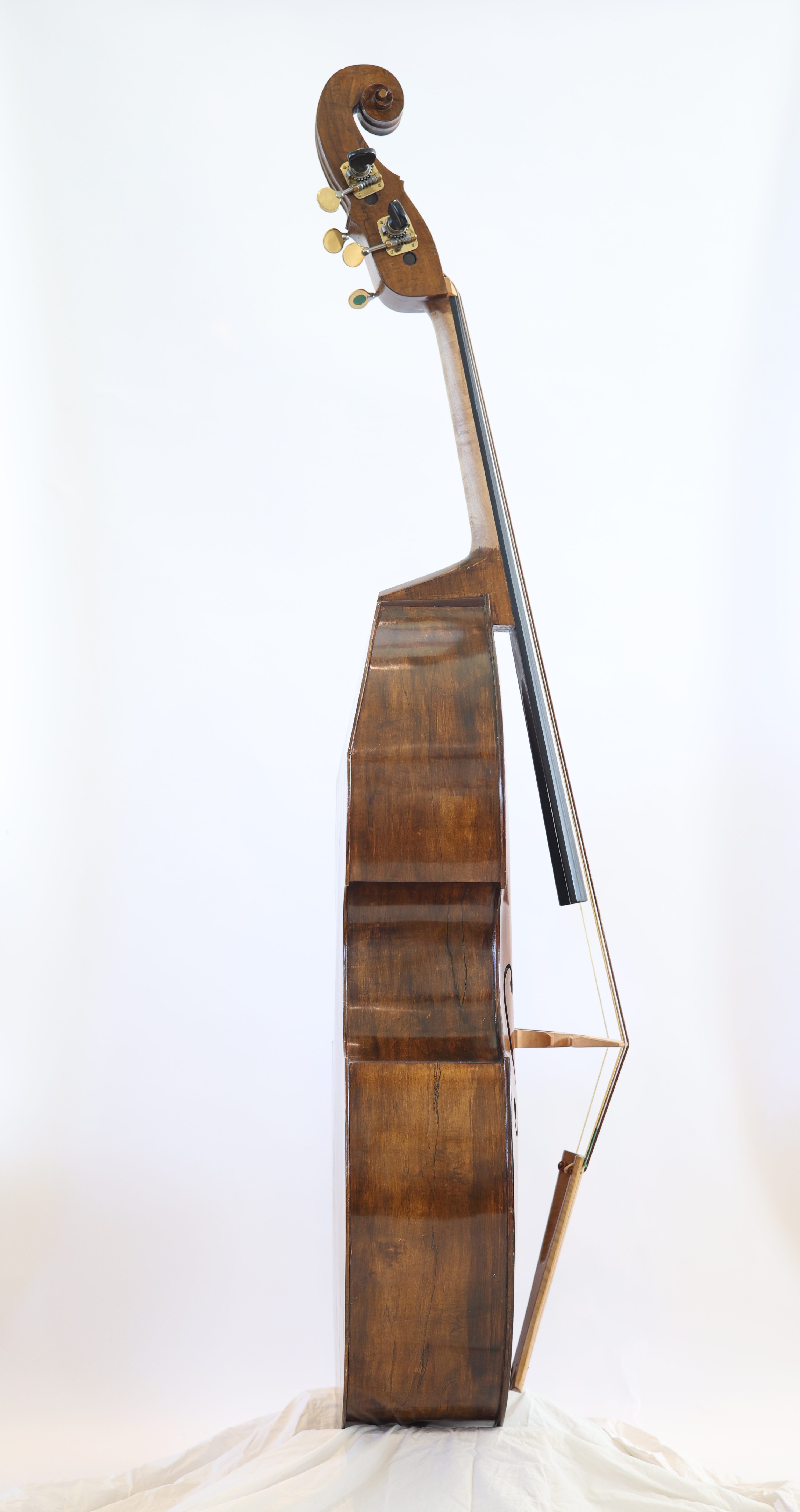 Side view of a double bass showcasing its curved body and scroll headstock.